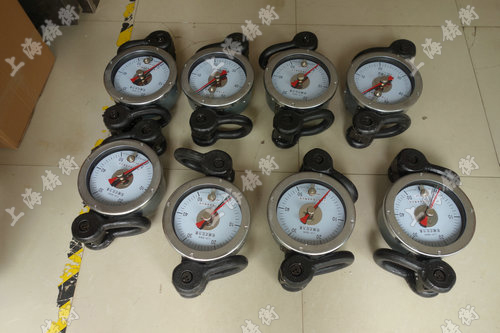 ָ�ʽ������