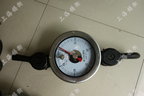 ָ�ʽ������